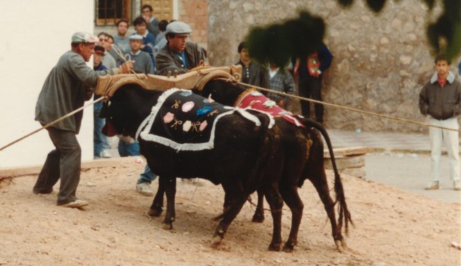 Desunciendo en 1987